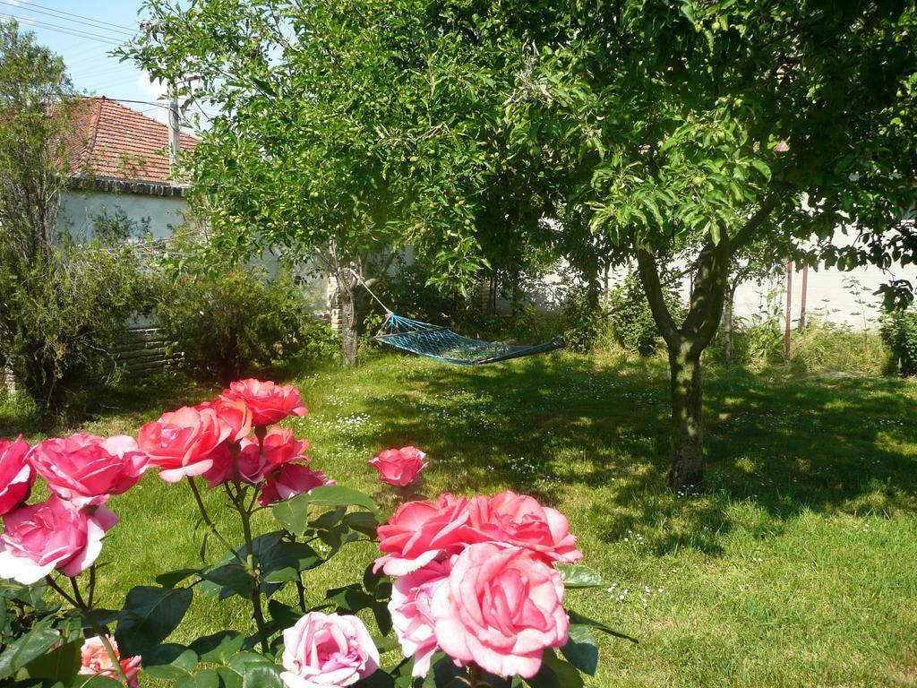 Guest House Tisza Haz Senta Exterior photo